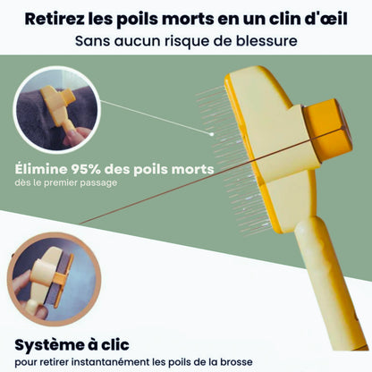 Brosse anti-poils