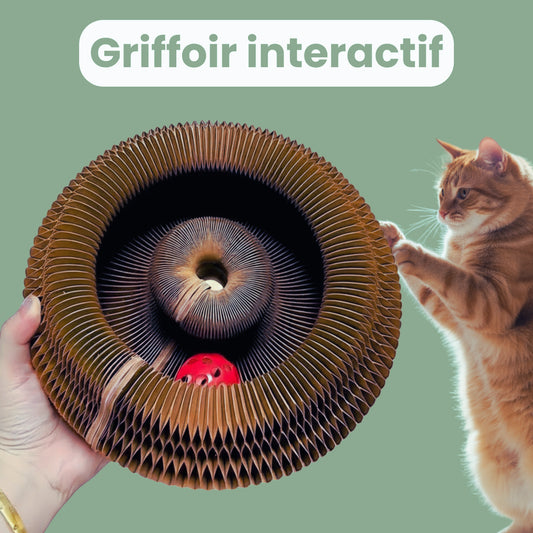 Griffoir interactif pour chats
