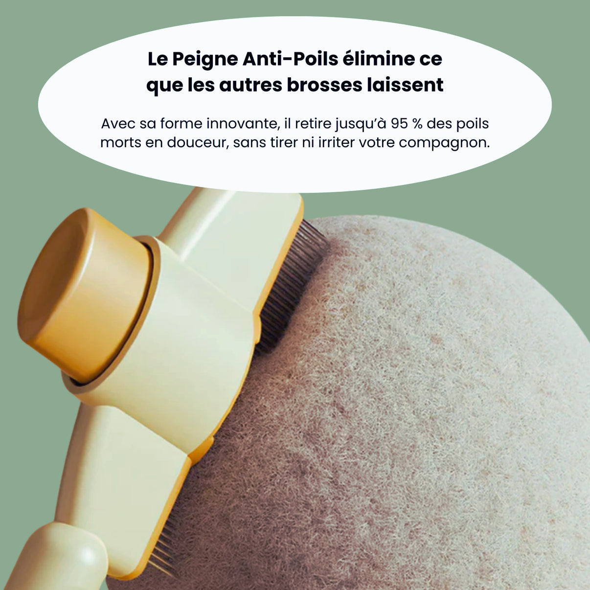 Brosse anti-poils