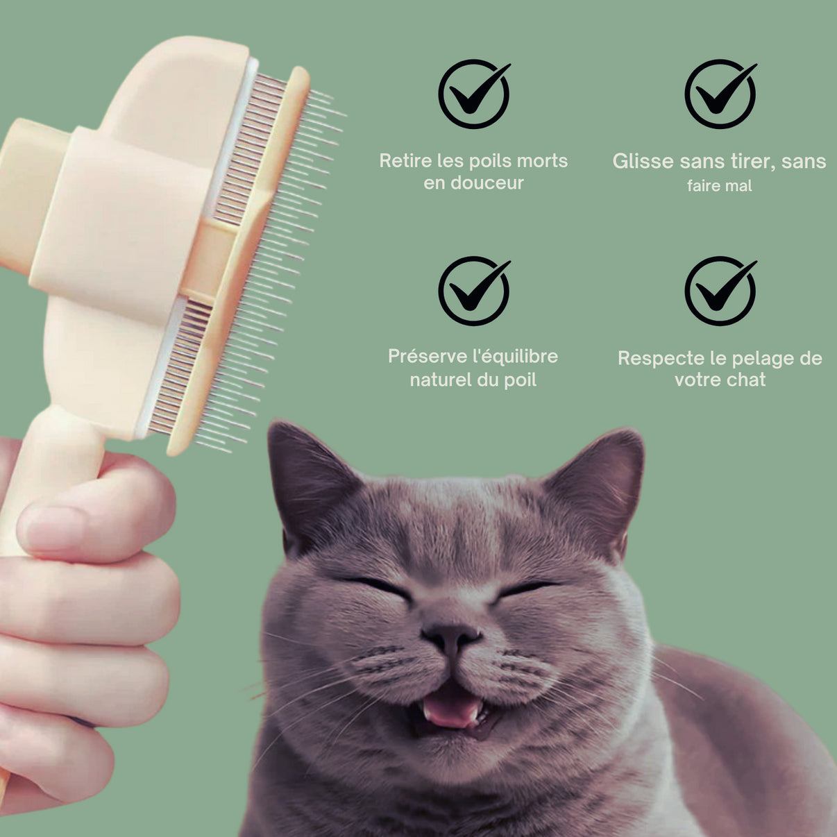 Brosse anti-poils