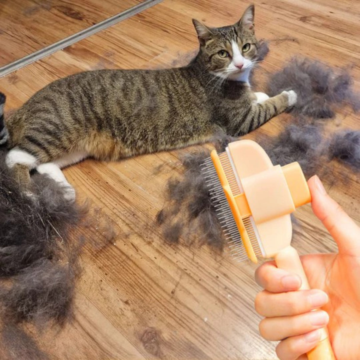 Brosse anti-poils