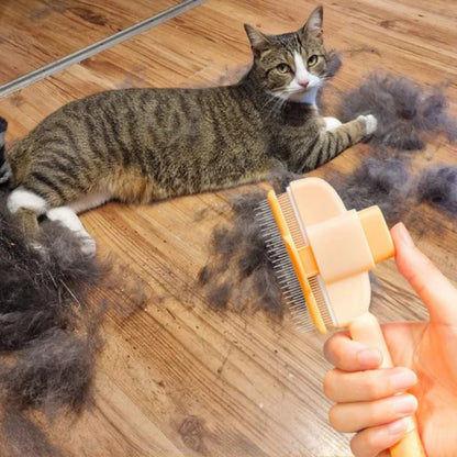 Brosse anti-poils