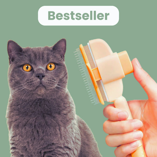 Brosse anti-poils