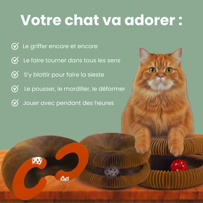 Griffoir interactif pour chats