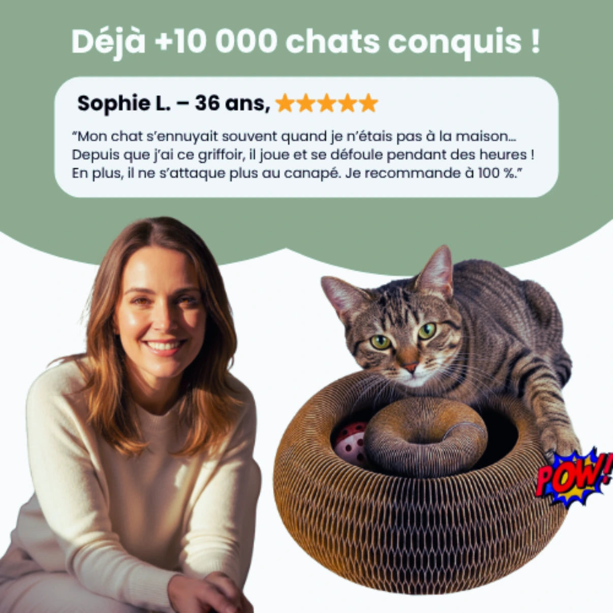 Griffoir interactif pour chats