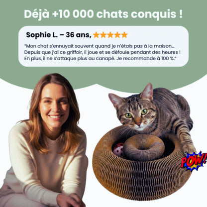 Griffoir interactif pour chats
