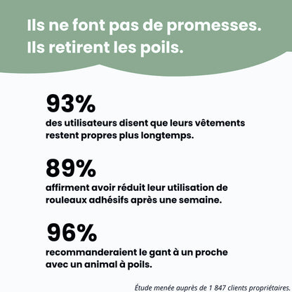 Gant Anti-Poils Réutilisable - Ami fidèle